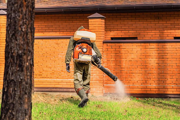 Trusted Rodent Control service in Lake Marcel-Stillwater, WA - Nex Pest Control